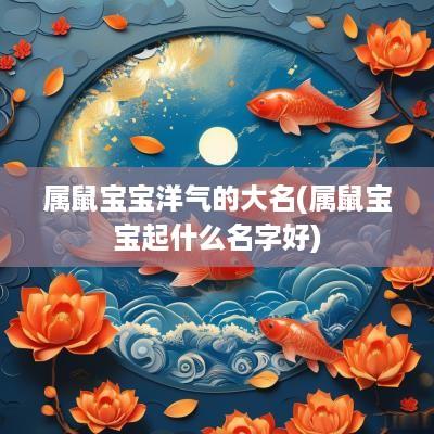 属鼠宝宝洋气的大名(属鼠宝宝起什么名字好)