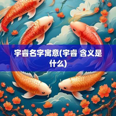 宇睿名字寓意(宇睿 含义是什么)