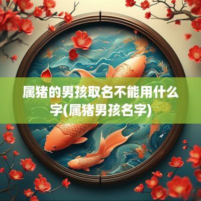属猪的男孩取名不能用什么字(属猪男孩名字)