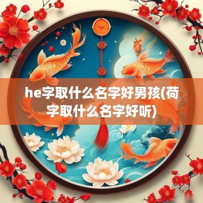 he字取什么名字好男孩(荷字取什么名字好听)