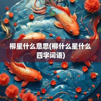 柳星什么意思(柳什么星什么四字词语)