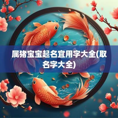 属猪宝宝起名宜用字大全(取名字大全)