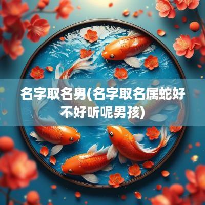 名字取名男(名字取名属蛇好不好听呢男孩)