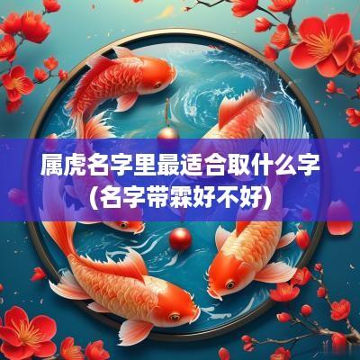 属虎名字里最适合取什么字(名字带霖好不好)