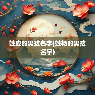 姓应的男孩名字(姓杨的男孩名字)