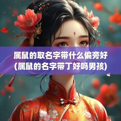 属鼠的取名字带什么偏旁好(属鼠的名字带丁好吗男孩)