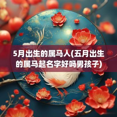 5月出生的属马人(五月出生的属马起名字好吗男孩子)