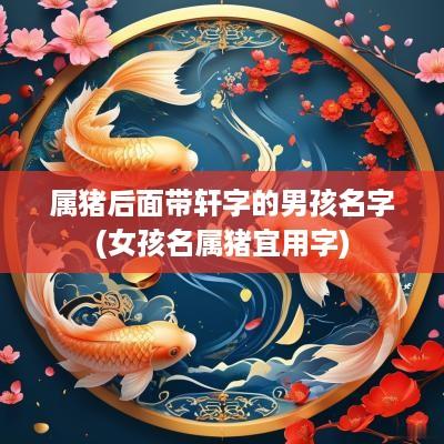 属猪后面带轩字的男孩名字(女孩名属猪宜用字)