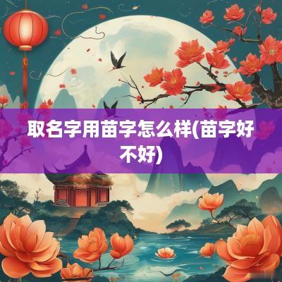 取名字用苗字怎么样(苗字好不好)