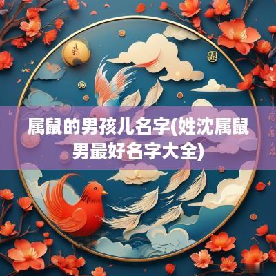 属鼠的男孩儿名字(姓沈属鼠男最好名字大全)