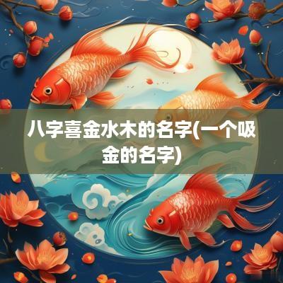 八字喜金水木的名字(一个吸金的名字)