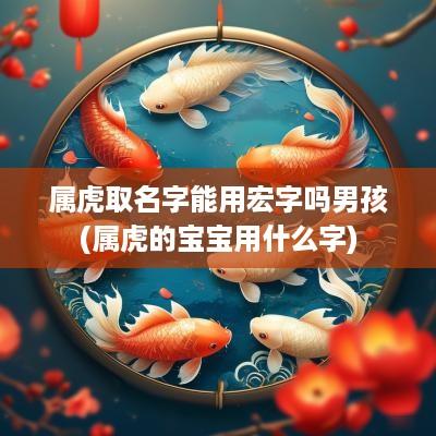 属虎取名字能用宏字吗男孩(属虎的宝宝用什么字)
