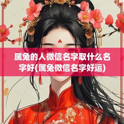 属兔的人微信名字取什么名字好(属兔微信名字好运)