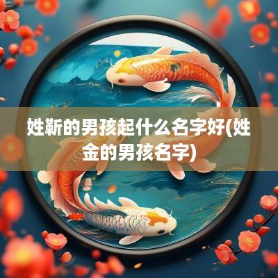 姓靳的男孩起什么名字好(姓金的男孩名字)