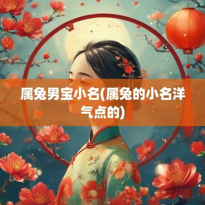 属兔男宝小名(属兔的小名洋气点的)