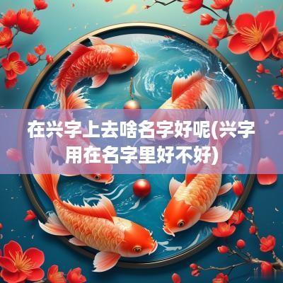 在兴字上去啥名字好呢(兴字用在名字里好不好)