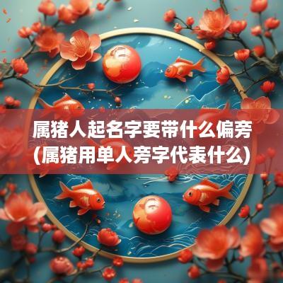 属猪人起名字要带什么偏旁(属猪用单人旁字代表什么)