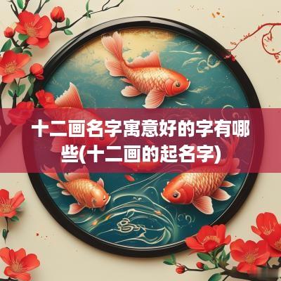 十二画名字寓意好的字有哪些(十二画的起名字)
