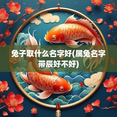 兔子取什么名字好(属兔名字带辰好不好)