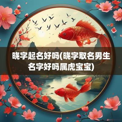 晓字起名好吗(晓字取名男生名字好吗属虎宝宝)