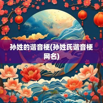 孙姓的谐音梗(孙姓氏谐音梗网名)
