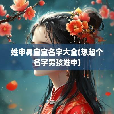 姓申男宝宝名字大全(想起个名字男孩姓申)