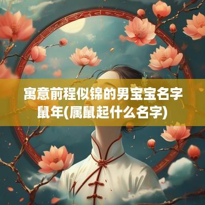 寓意前程似锦的男宝宝名字蛇年(属鼠起什么名字)