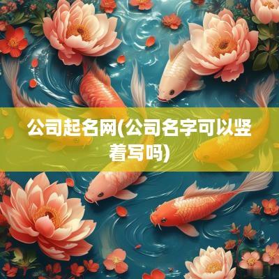 公司起名网(公司名字可以竖着写吗)