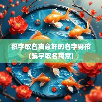 积字取名寓意好的名字男孩(骥字取名寓意)