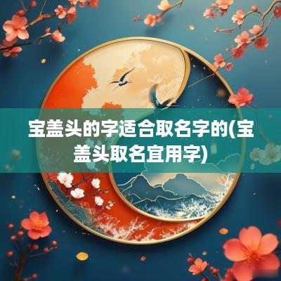 宝盖头的字适合取名字的(宝盖头取名宜用字)