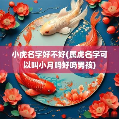 小虎名字好不好(属虎名字可以叫小月吗好吗男孩)