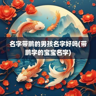 名字带鹏的男孩名字好吗(带鹏字的宝宝名字)