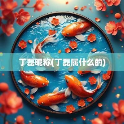 丁磊昵称(丁磊属什么的)