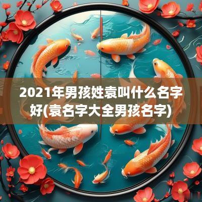 2025年男孩姓袁叫什么名字好(袁名字大全男孩名字)