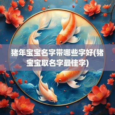 猪年宝宝名字带哪些字好(猪宝宝取名字最佳字)