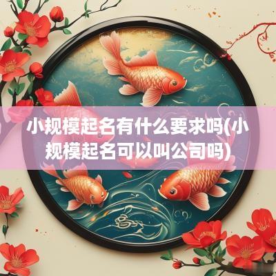 小规模起名有什么要求吗(小规模起名可以叫公司吗)