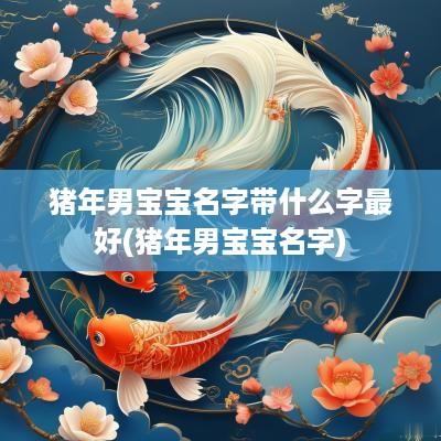 猪年男宝宝名字带什么字最好(猪年男宝宝名字)