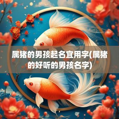 属猪的男孩起名宜用字(属猪的好听的男孩名字)