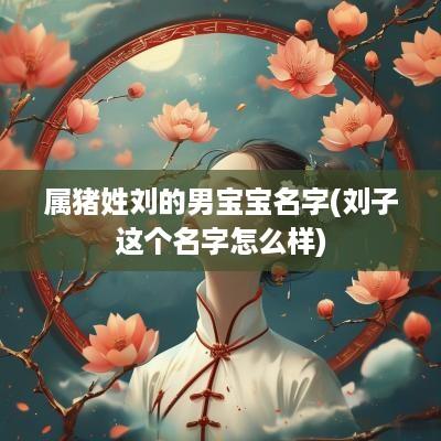 属猪姓刘的男宝宝名字(刘子这个名字怎么样)