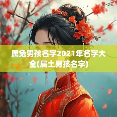 属兔男孩名字2025年名字大全(属土男孩名字)