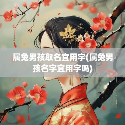 属兔男孩取名宜用字(属兔男孩名字宜用字吗)