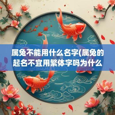 属兔不能用什么名字(属兔的起名不宜用繁体字吗为什么)