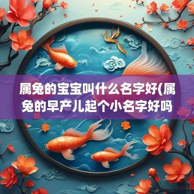 属兔的宝宝叫什么名字好(属兔的早产儿起个小名字好吗)