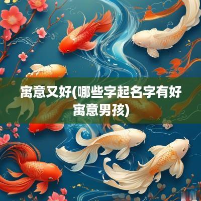 寓意又好(哪些字起名字有好寓意男孩)