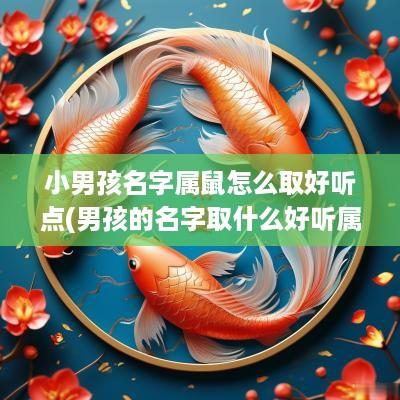 小男孩名字属鼠怎么取好听点(男孩的名字取什么好听属鼠的小名)