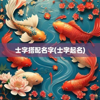 士字搭配名字(士字起名)
