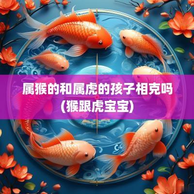 属猴的和属虎的孩子相克吗(猴跟虎宝宝)