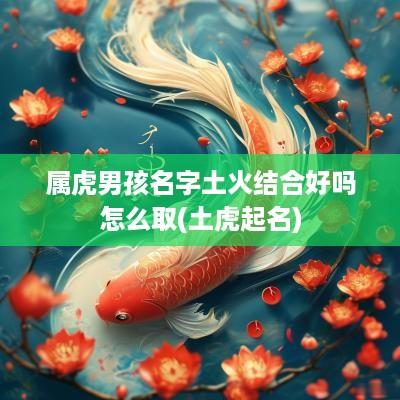 属虎男孩名字土火结合好吗怎么取(土虎起名)