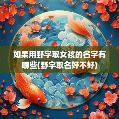 如果用野字取女孩的名字有哪些(野字取名好不好)