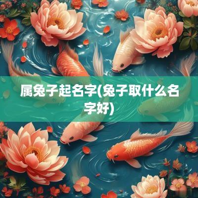 属兔子起名字(兔子取什么名字好)